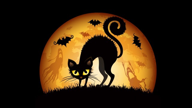 happy-halloween-cat-5
